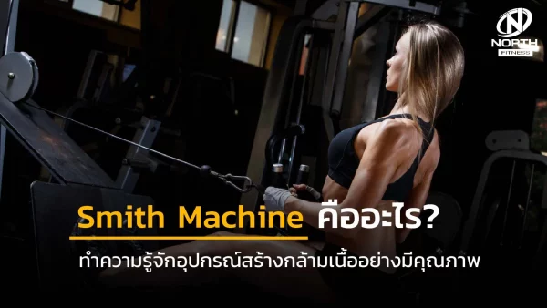 Smith Machine คืออะไร ทำความรู้จักอุปกรณ์สร้างกล้ามเนื้ออย่างมีคุณภาพ