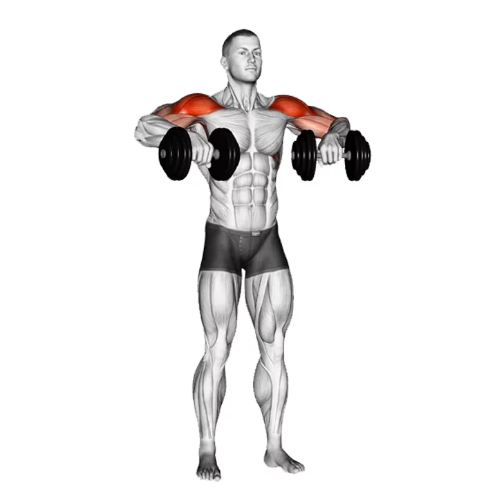 ท่า Dumbbell Upright Row เป็นท่าที่ช่วยเสริมสร้างกล้ามเนื้อหัวไหล่ (deltoids) และสะพานคอ