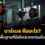 บาร์เบล คืออะไร.jpg