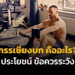 กรรเชียงบก คือ