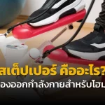สเต็ปเปอร์ คืออะไร