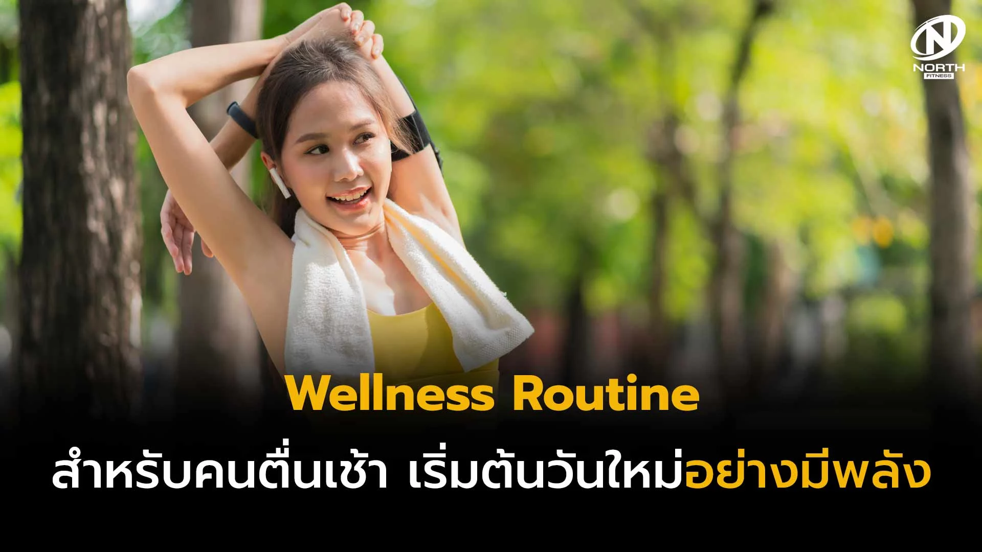 Wellnes Routine