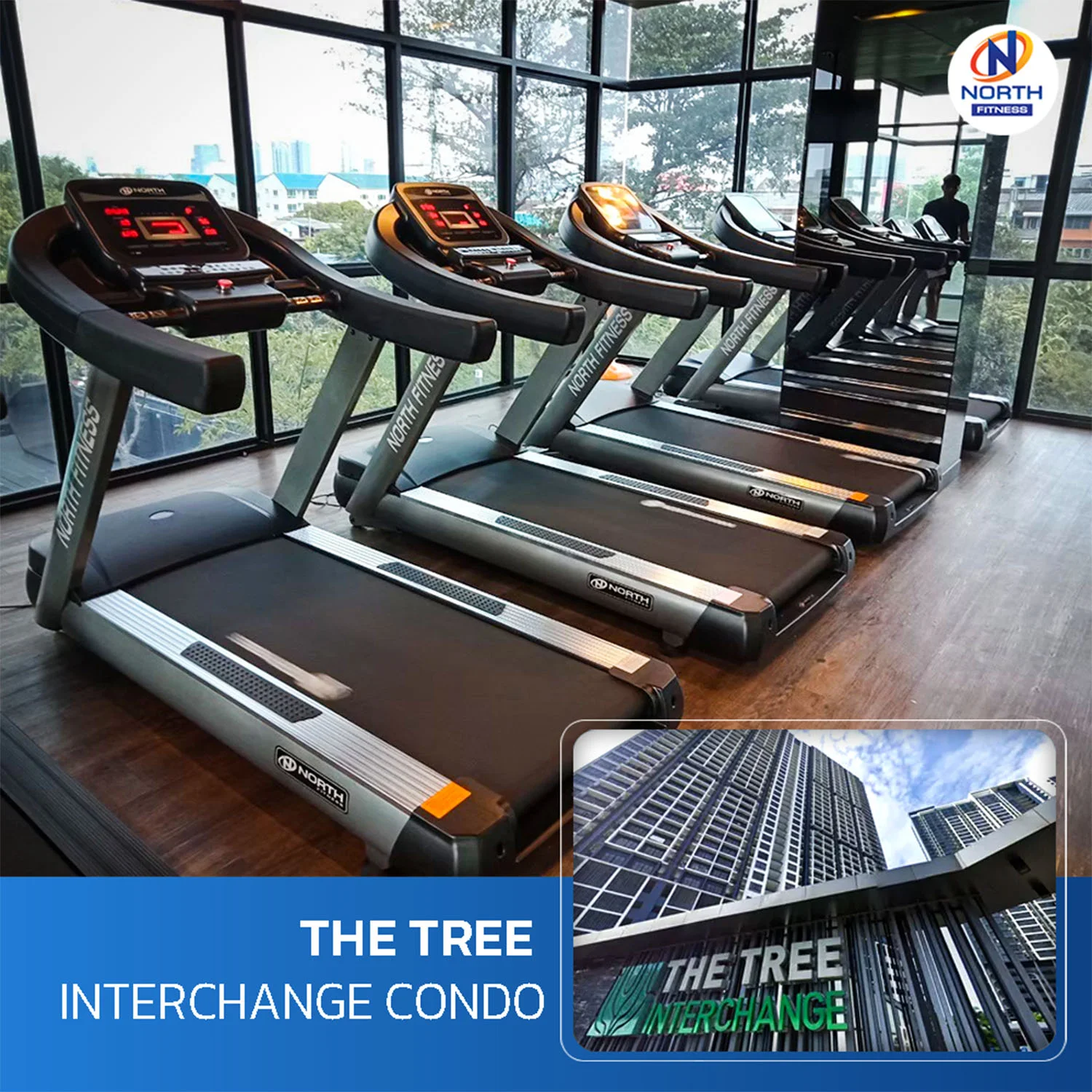 the Tree Interchange Condo_0