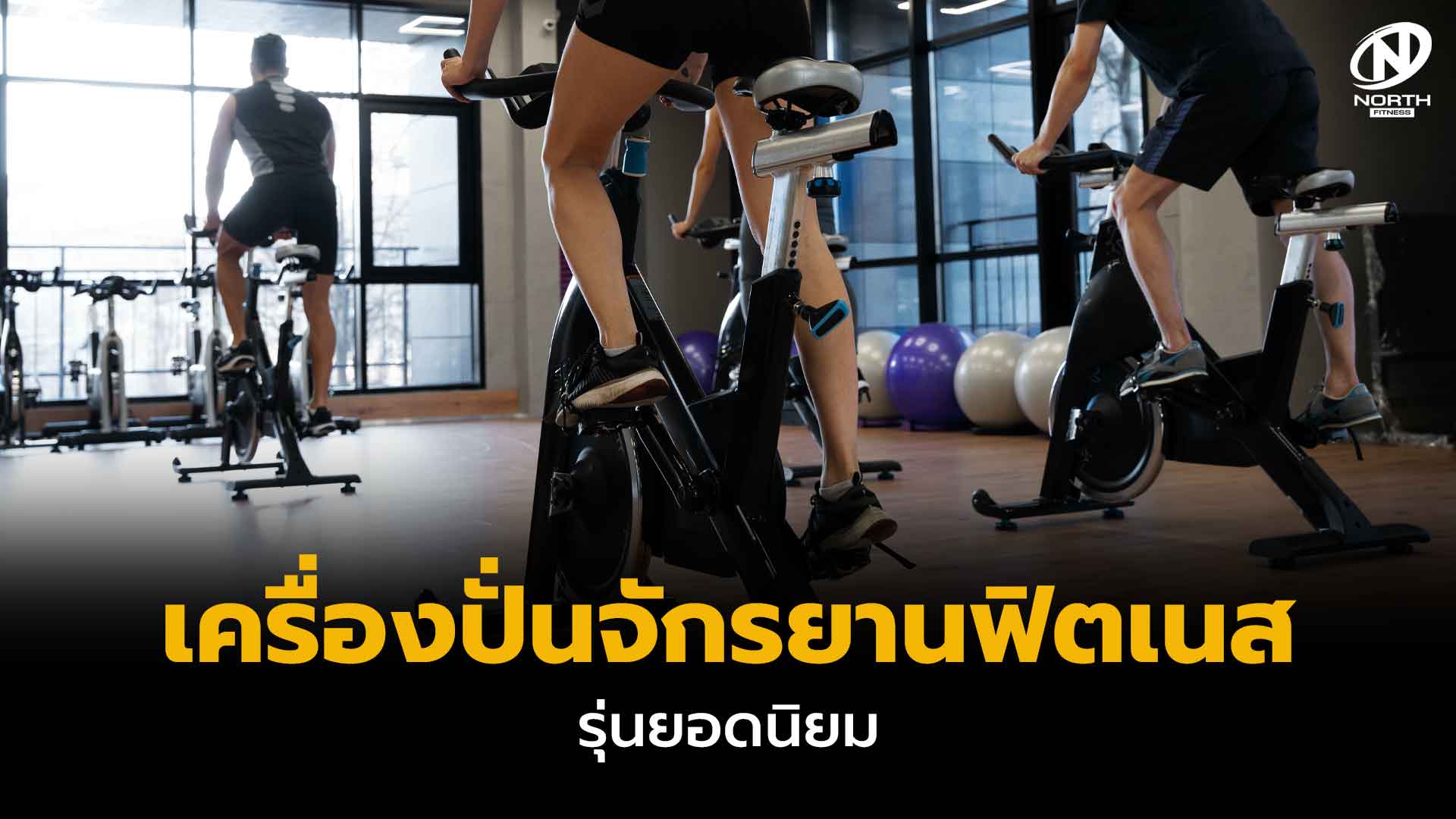 เครื่องปั่นจักรยานฟิตเนส รุ่นยอดนิยม