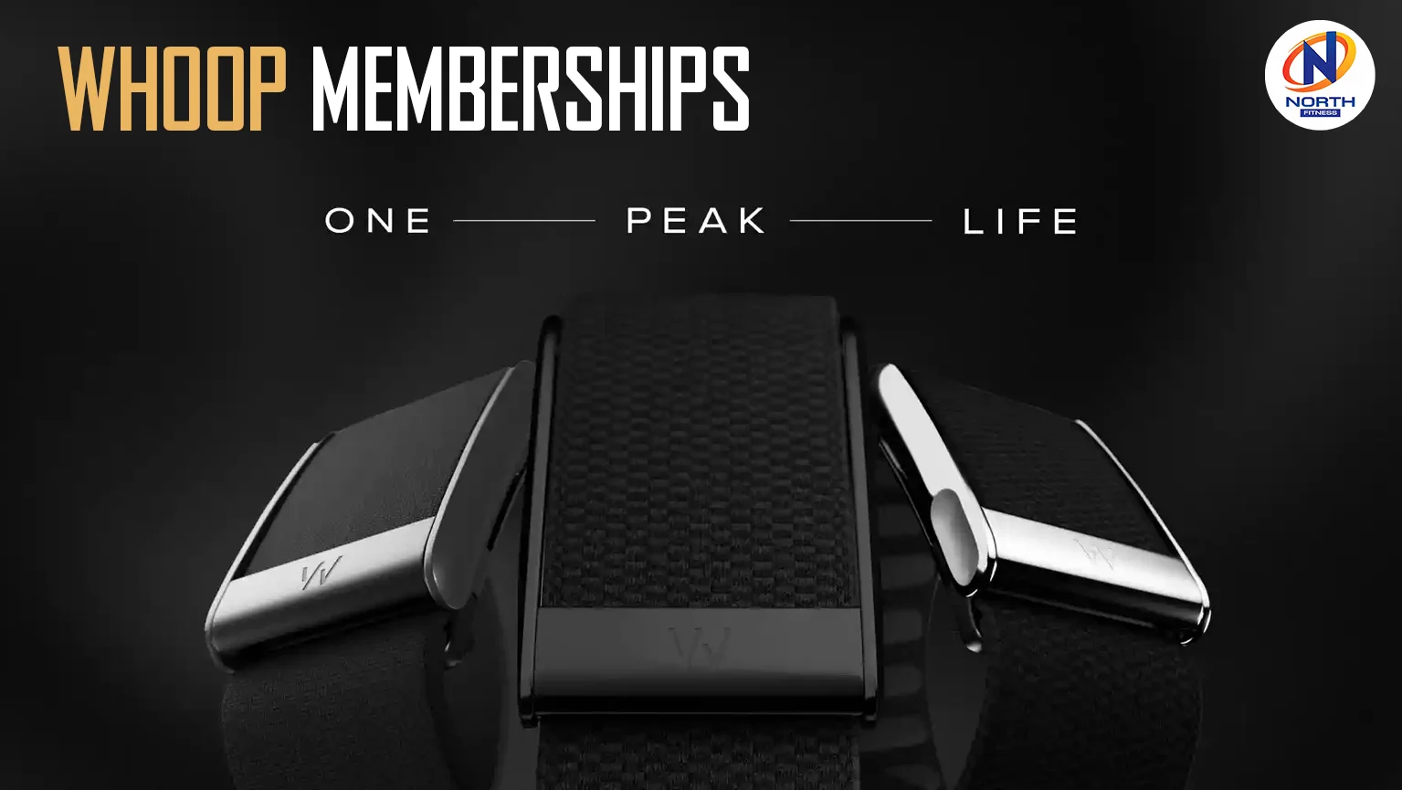 ระบบสมาชิกของ WHOOP ทั้งหมดมี 3 แบบ ONE, PEAK, LIFE